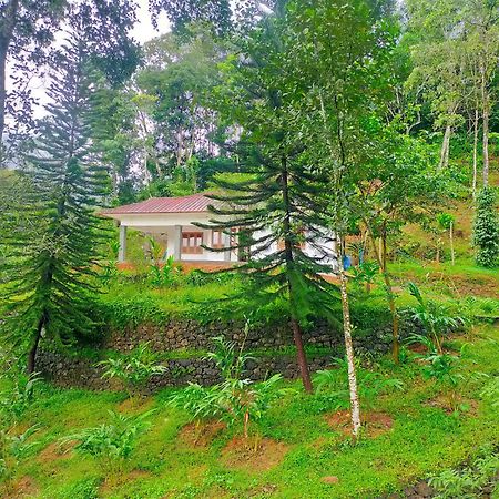 Anivilla Holiday Home Kunjithanny Anachal Kültér fotó