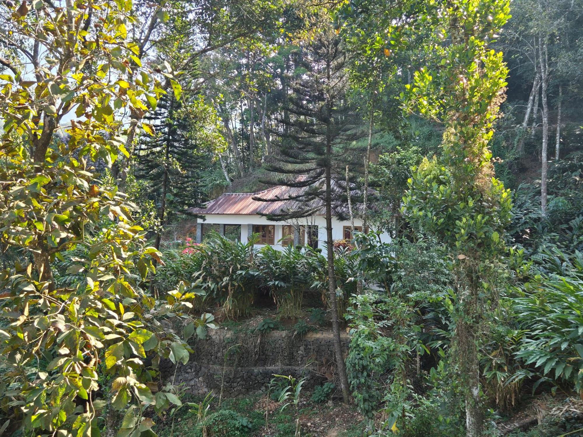 Anivilla Holiday Home Kunjithanny Anachal Kültér fotó